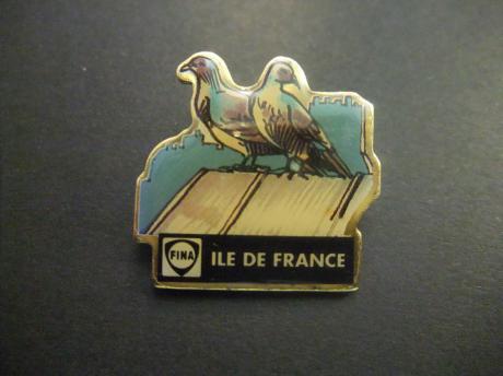 Fina ile de France twee duiven op het dak